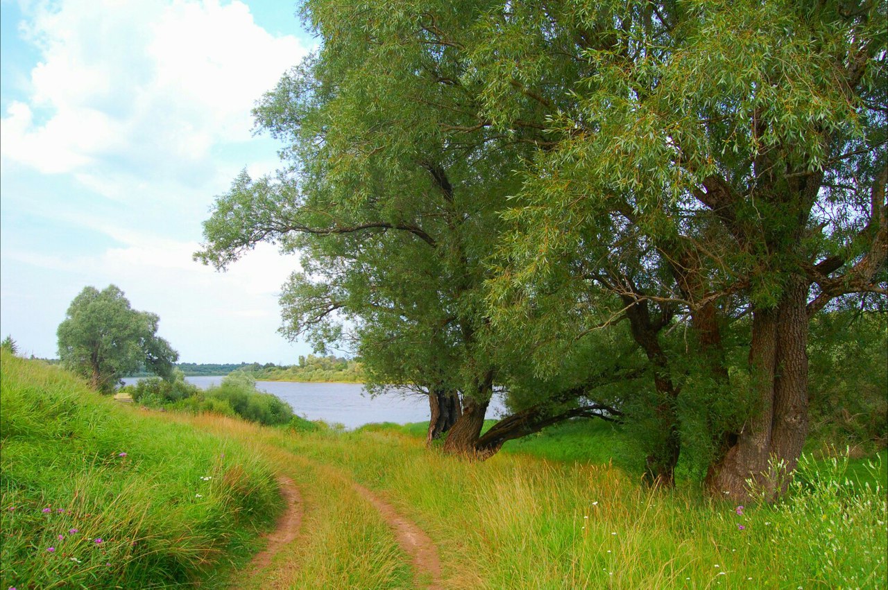 река ловать новгородская область